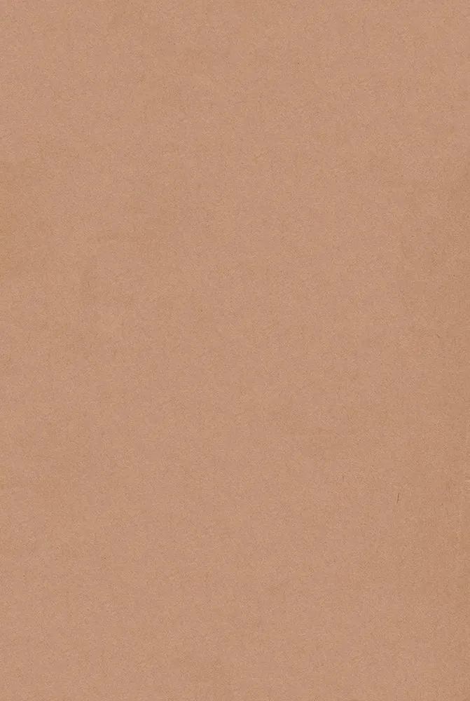 Back cover 3