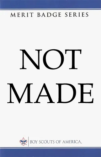 American Business merit badge pamphlet, Type 10B, 2009: Not made
