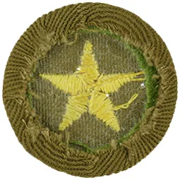 Sample Type C badge, the back of a type c badge