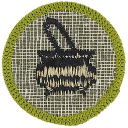 Sample Type F badge, the back of a type f badge