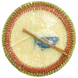 Sample Type I badge, the back of a type i badge