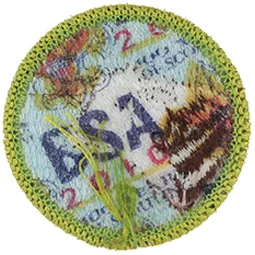 Sample Type K badge, the back of a type k badge