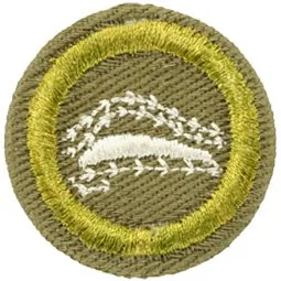 Aerodynamics merit badge, Type E, 1947 - 1952