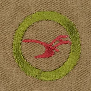 Agriculture merit badge, Type A, 1911 - 1933
