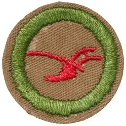Agriculture merit badge, Type D, 1942 - 1946
