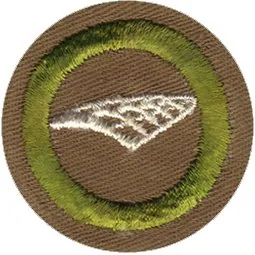 Airplane Structure merit badge, Type D, 1942 - 1946