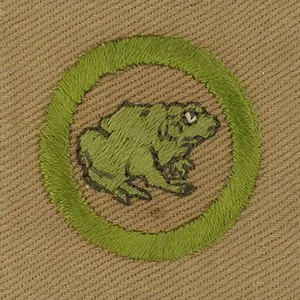 Zoology merit badge, Type A, 1930 - 1933