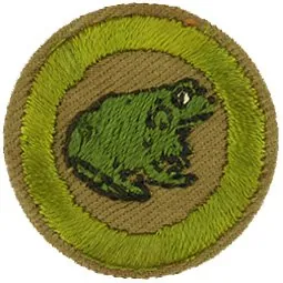 Zoology merit badge, Type C, 1936 - 1942