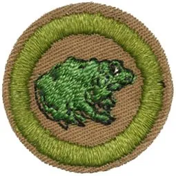 Zoology merit badge, Type D, 1942 - 1946