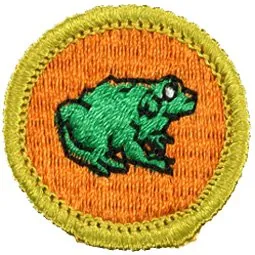 Zoology merit badge, Type G, 1961 - 1971