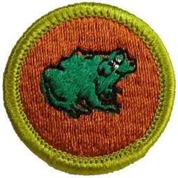 Zoology merit badge, Type H, 1972